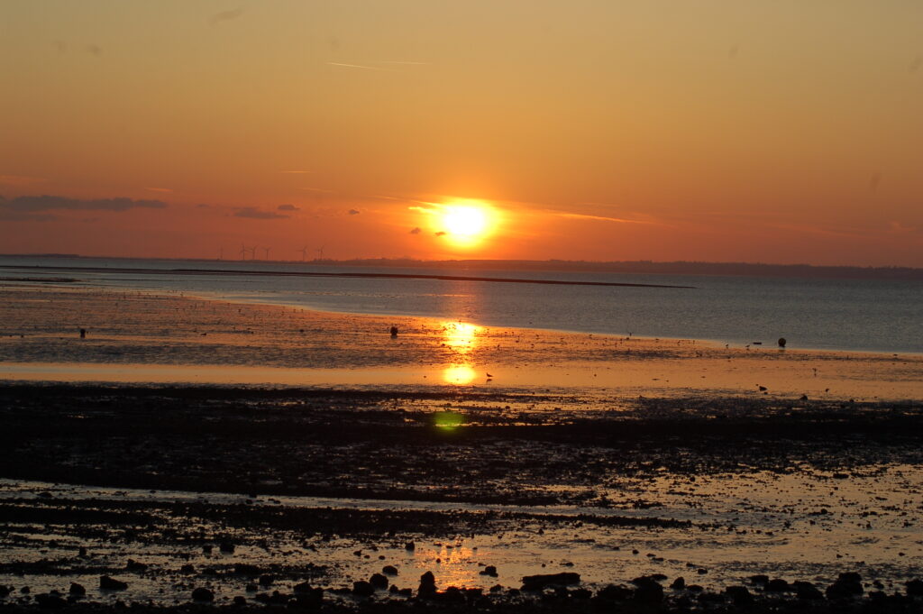 Sunsets